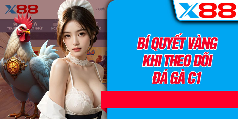 Bí Quyết Vàng Khi Theo Dõi Đá Gà C1