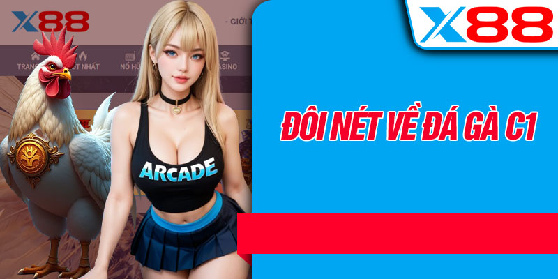 Đôi Nét Về Đá Gà C1