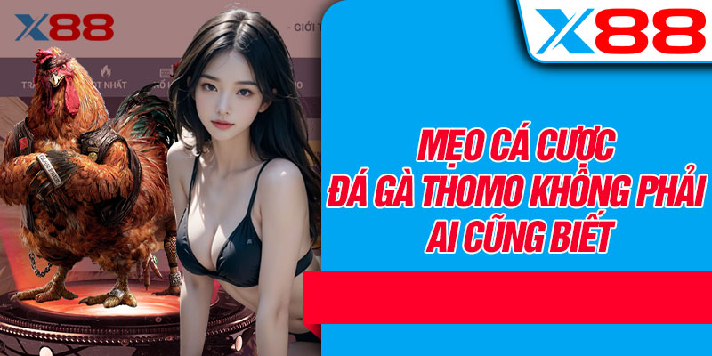 Mẹo Cá Cược Đá Gà Thomo Không Phải Ai Cũng Biết
