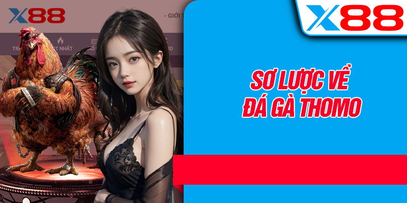 Sơ Lược Về Đá Gà Thomo