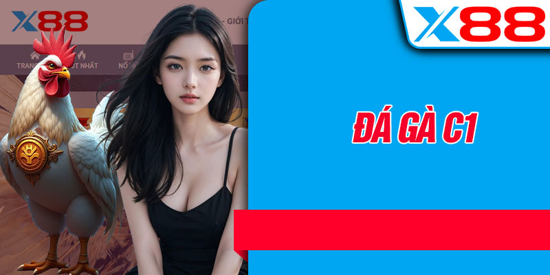 Đá Gà C1